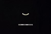 陶環藏品圖，第2張